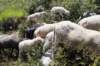 img20250720wa0022_small.jpg