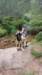 img20250720wa0050_small.jpg
