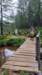 img20250720wa0051_small.jpg