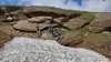 img20250720wa0063_small.jpg