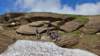 img20250720wa0065_small.jpg