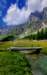 img20250720wa0071_small.jpg