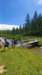 img20250720wa0073_small.jpg