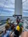 img20250716wa0030_small.jpg