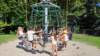 img20250722wa0065_small.jpg