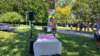 img20250722wa0069_small.jpg